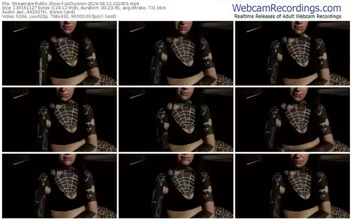 2024/08/13/streamate-joidivision-23-24-03