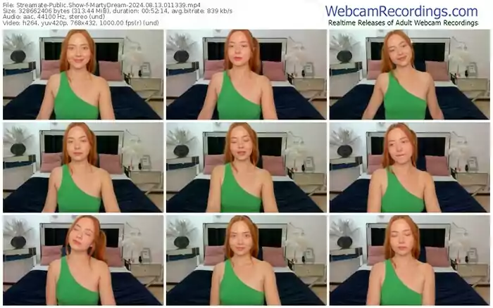 2024/08/13/streamate-martydream-01-13-39