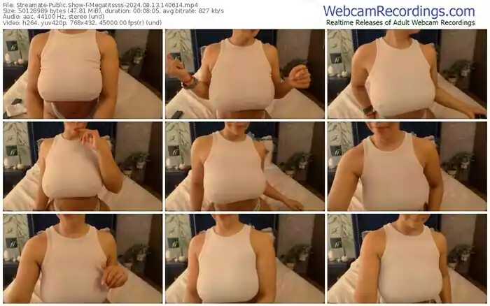 2024/08/13/streamate-megatitssss-14-06-14