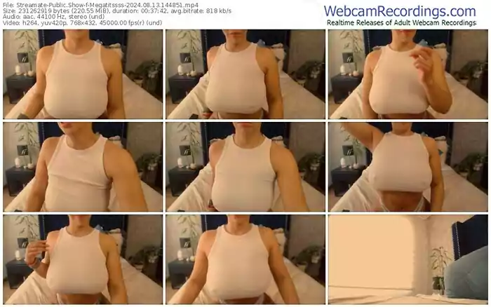 2024/08/13/streamate-megatitssss-14-48-51