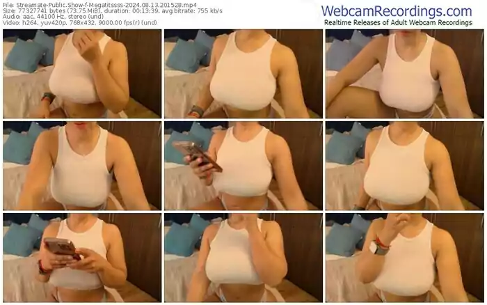 2024/08/13/streamate-megatitssss-20-15-28