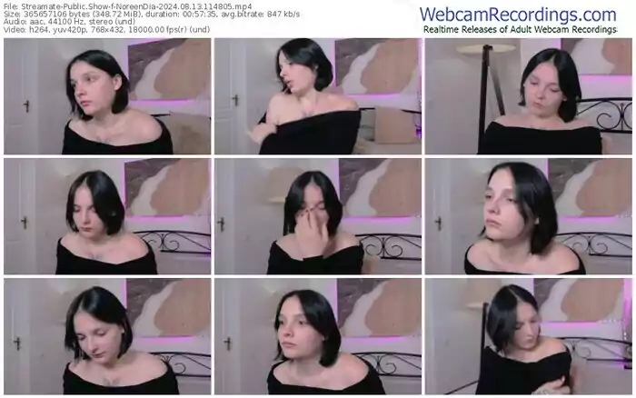 2024/08/13/streamate-noreendia-11-48-05