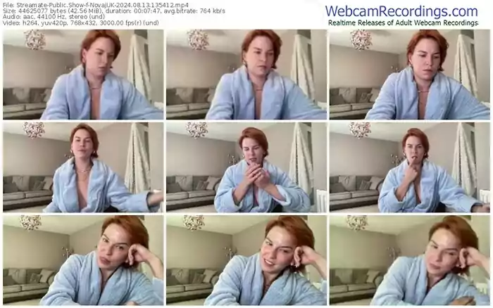 2024/08/13/streamate-novajuk-13-54-12