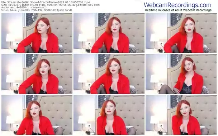 2024/08/13/streamate-sharonflame-05-07-36