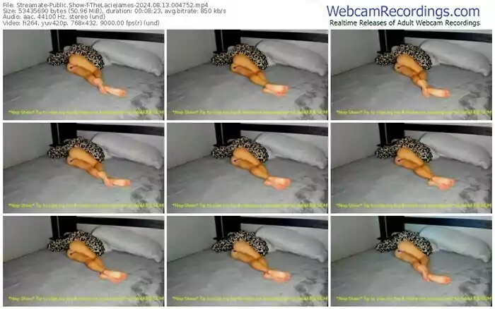 2024/08/13/streamate-thelaciejames-00-47-52