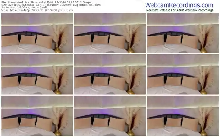 2024/08/14/streamate-ashleyhiills-05-16-15