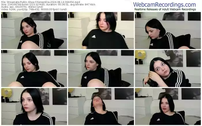 2024/08/14/streamate-noreendia-06-44-54
