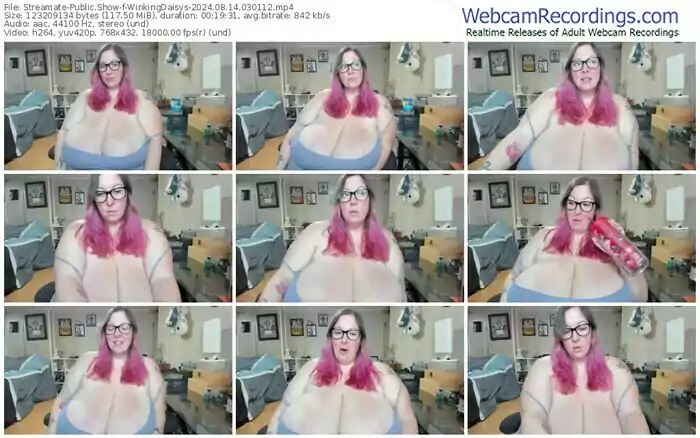 2024/08/14/streamate-winkingdaisys-03-01-12