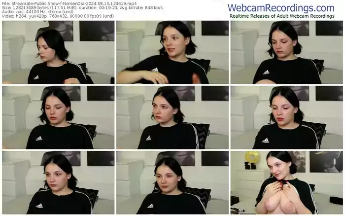 2024/08/15/streamate-noreendia-12-46-19