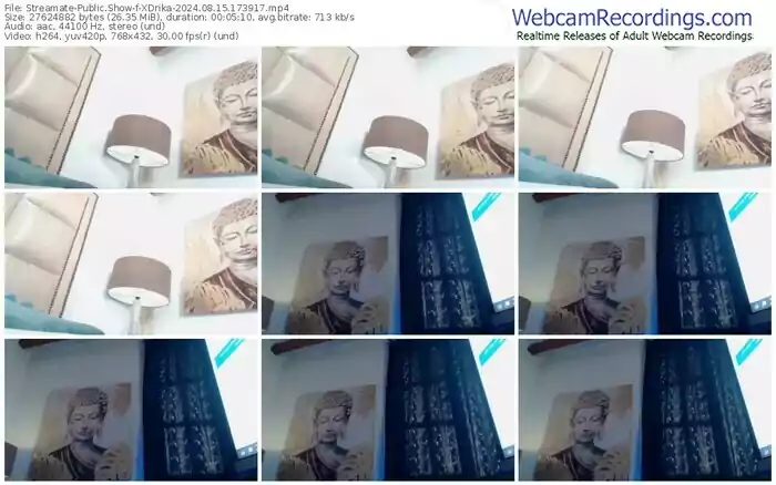 2024/08/15/streamate-xdrika-17-39-17