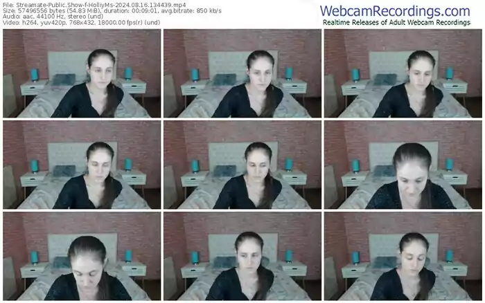2024/08/16/streamate-holliyms-13-44-39
