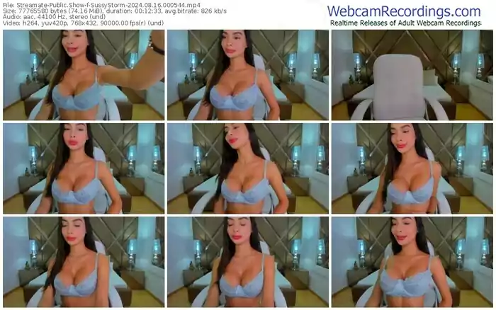 2024/08/16/streamate-sussystorm-00-05-44