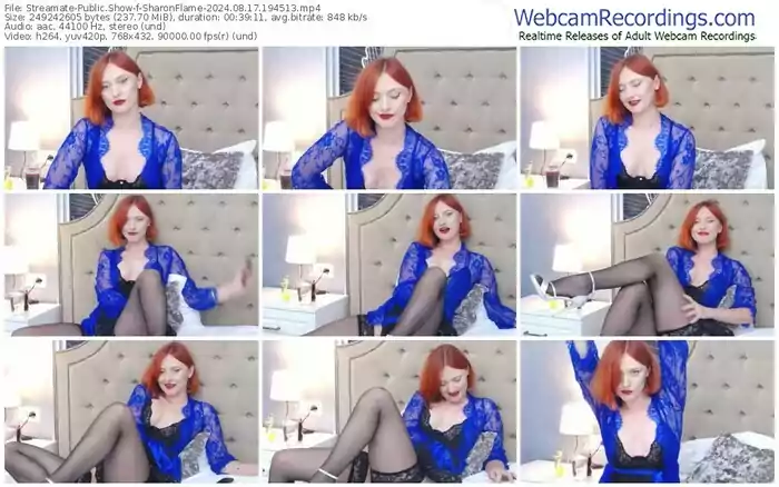 2024/08/17/streamate-sharonflame-19-45-13