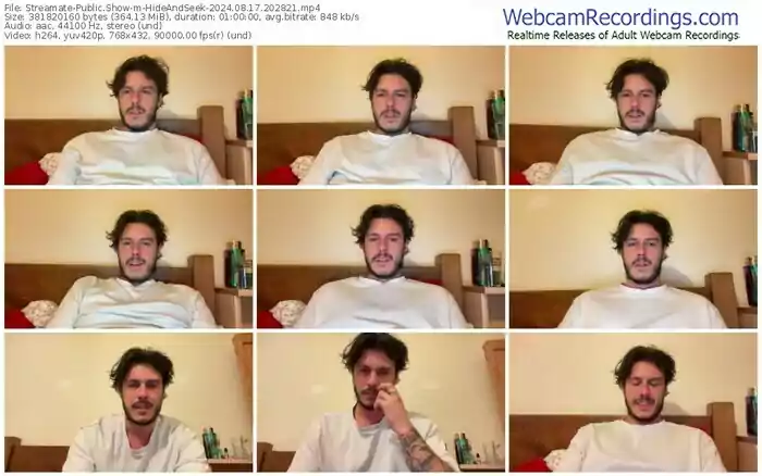 2024/08/17/streamate-hideandseek-20-28-21