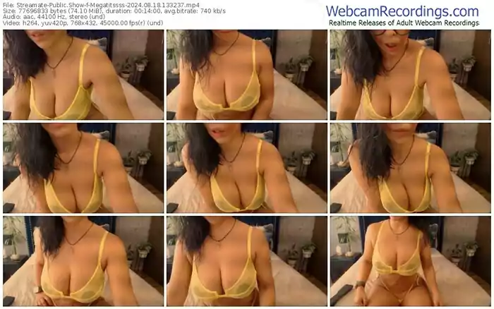 2024/08/18/streamate-megatitssss-13-32-37