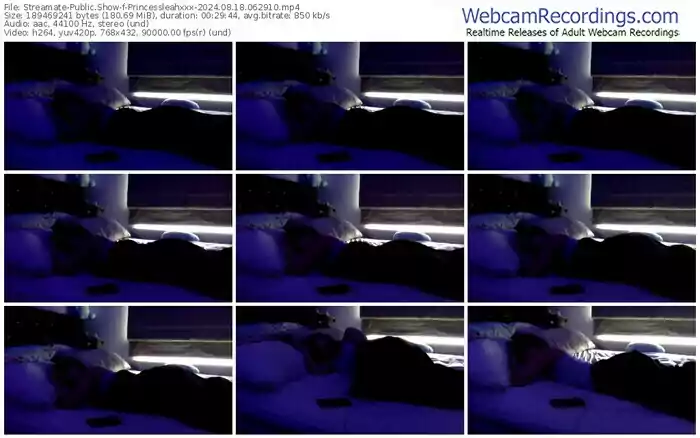2024/08/18/streamate-princessleahxxx-06-29-10