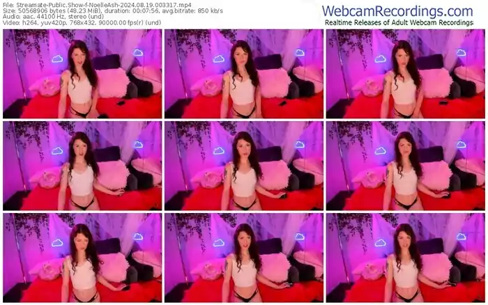 2024/08/19/streamate-noelleash-00-33-17