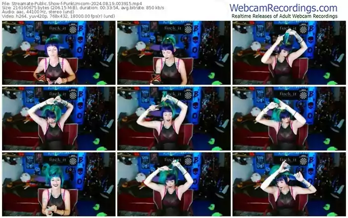 2024/08/19/streamate-punkunicorn-00-39-15