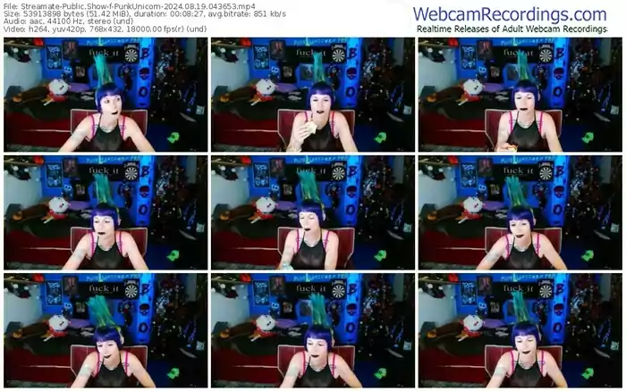 2024/08/19/streamate-punkunicorn-04-36-53