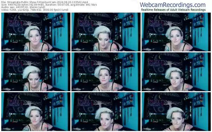 2024/08/20/streamate-missquincam-13-35-42