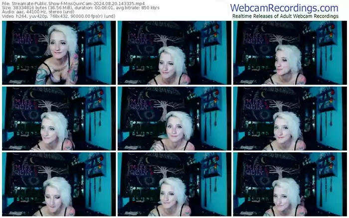 2024/08/20/streamate-missquincam-14-33-35