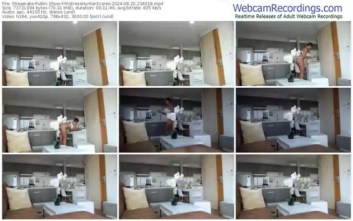 2024/08/20/streamate-mistresshunterscores-23-40-18