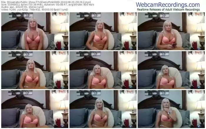 2024/08/20/streamate-ticklemypink6969-23-13-12