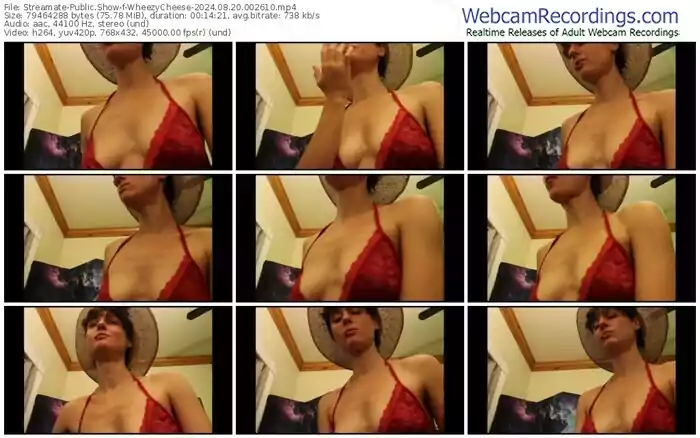 2024/08/20/streamate-wheezycheese-00-26-10