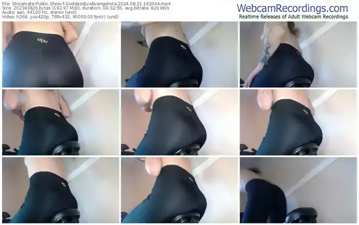 2024/08/21/streamate-goddessevaevangelista-16-26-44