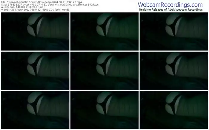 2024/08/21/streamate-rosiepeep-23-41-48
