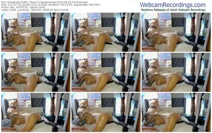 2024/08/22/streamate-claravanessa-00-19-04