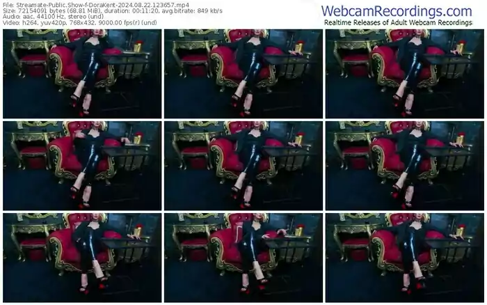 2024/08/22/streamate-dorakent-12-36-57
