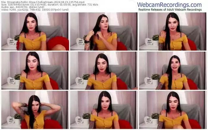 2024/08/23/streamate-sofiiadream-13-57-56