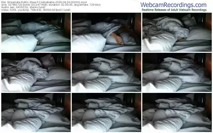 2024/08/24/streamate-cookiebabie-06-16-01