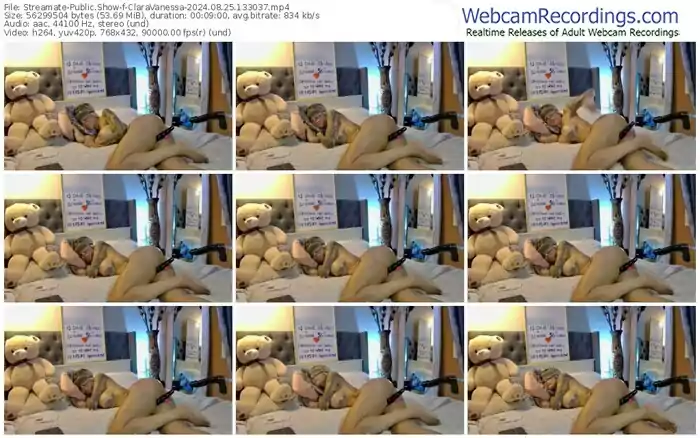 2024/08/25/streamate-claravanessa-13-30-37