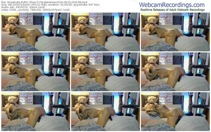 2024/08/25/streamate-claravanessa-20-21-48