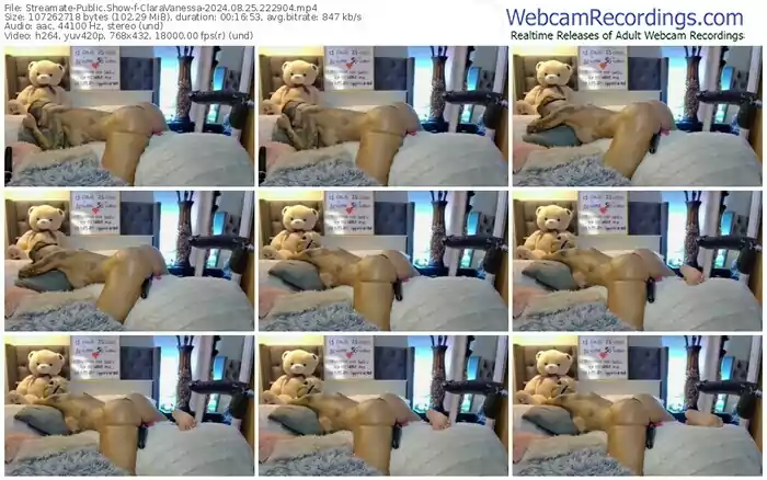 2024/08/25/streamate-claravanessa-22-29-04