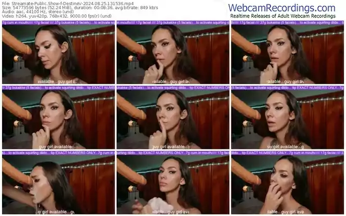 2024/08/25/streamate-destinev-13-15-36