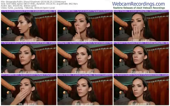 2024/08/25/streamate-destinev-13-33-48