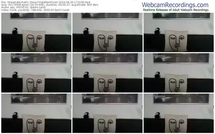 2024/08/26/streamate-katenextdoorr-17-21-08