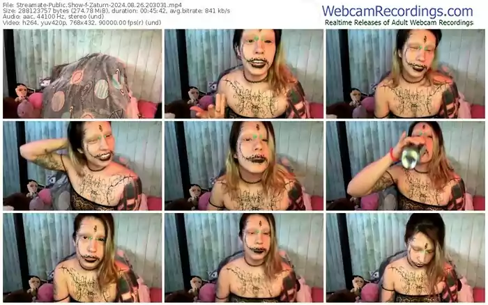 2024/08/26/streamate-zaturn-20-30-31