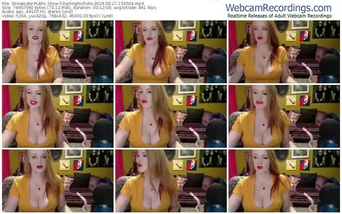 2024/08/27/streamate-darlingnichole-13-45-04