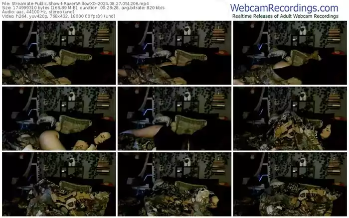 2024/08/27/streamate-ravenwillowxo-05-12-06