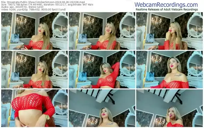 2024/08/28/streamate-ambarsimson-16-16-36