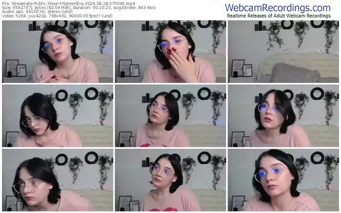 2024/08/28/streamate-noreendia-07-00-40