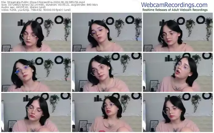 2024/08/28/streamate-noreendia-08-51-59