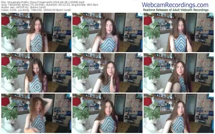 2024/08/28/streamate-seamaidx-13-28-08