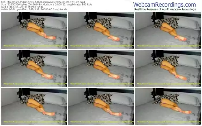 2024/08/28/streamate-thelaciejames-02-31-22