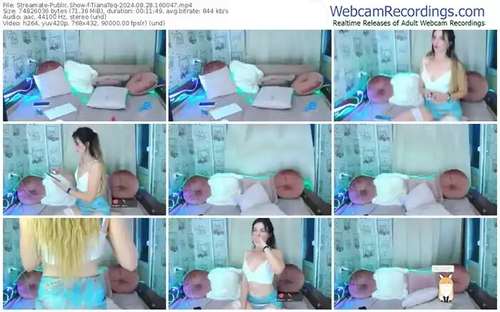 2024/08/28/streamate-tianateq-16-00-47