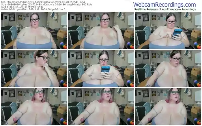 2024/08/28/streamate-winkingdaisys-05-35-41